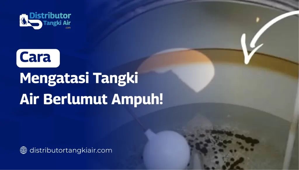 Cara Mengatasi Tangki Air Berlumut Ampuh!