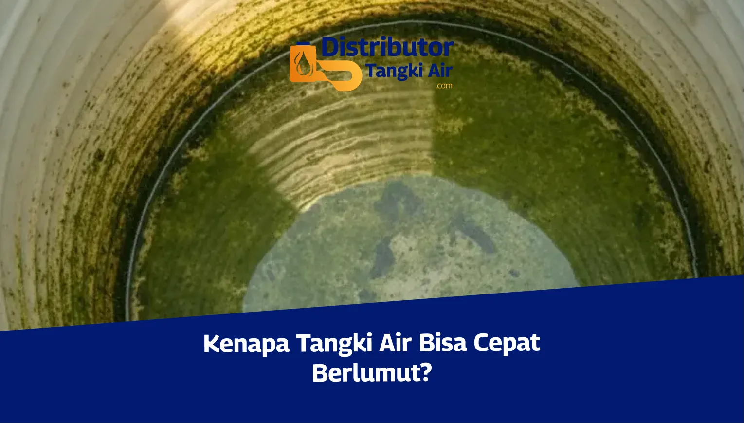 Kenapa Tangki Air Bisa Cepat Berlumut_